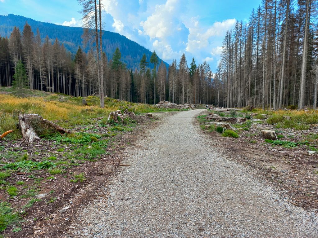 Sentiero Marciò trekking per bambini