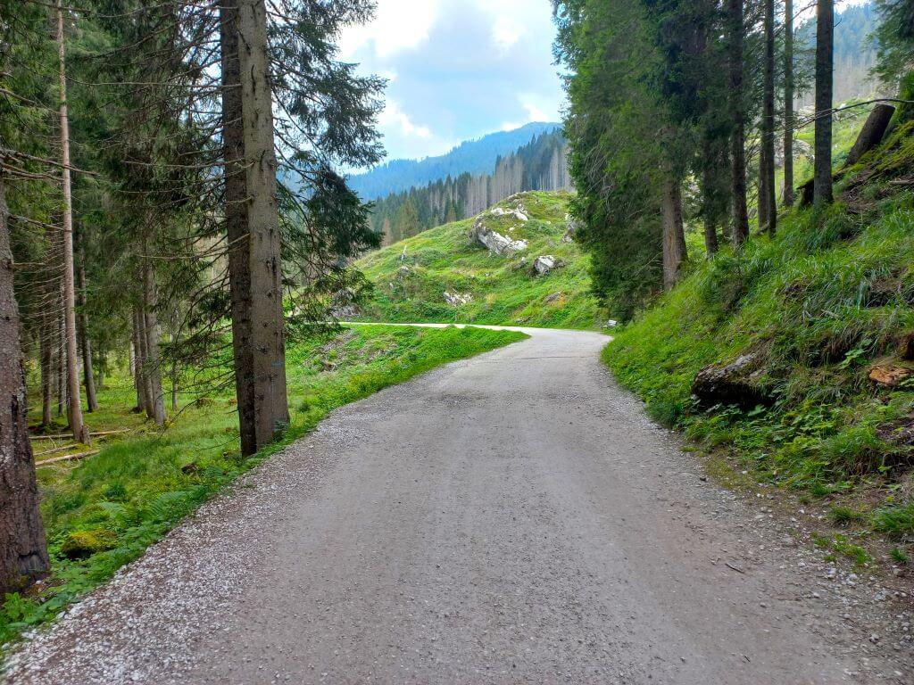 camminata-san-martino-di-castrozza-semplice-per-famiglie