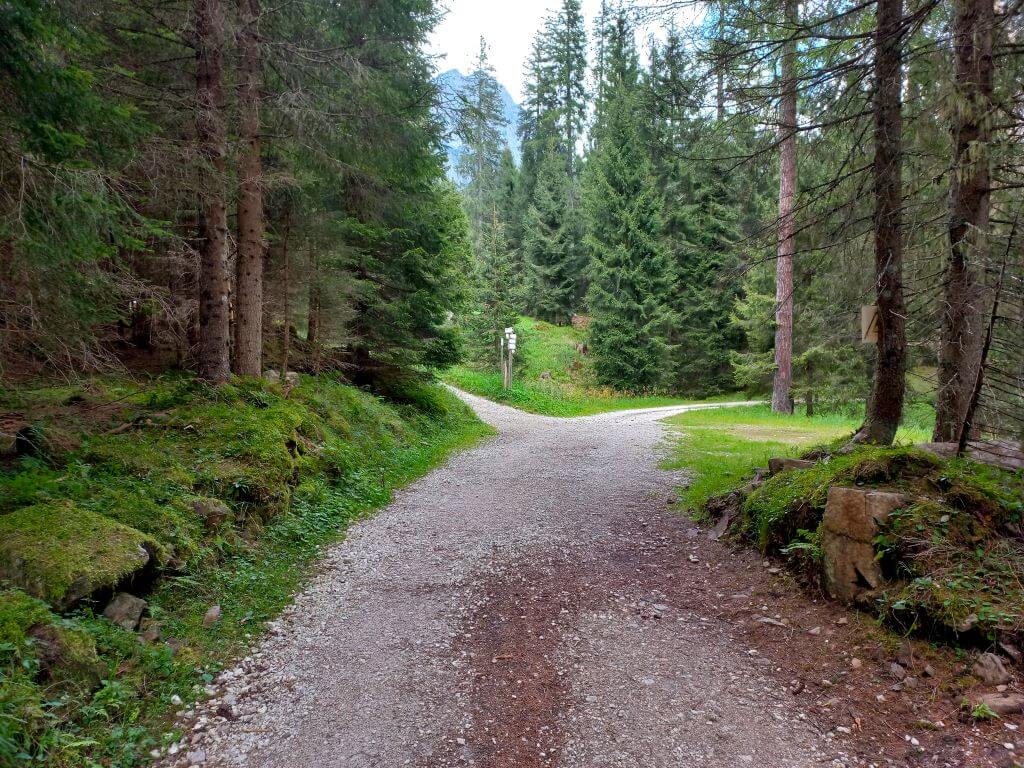 escursione-da-san-martino-di-castrozza-a-malga-ces